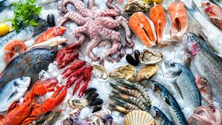 Dịch tài liệu xuất khẩu thuỷ hải sản seafood