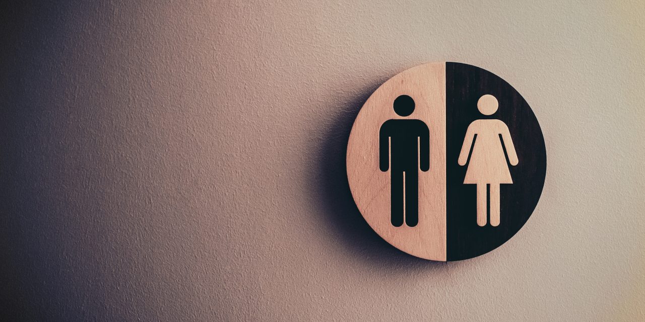 https://premiumtrans.vn/wp-content/uploads/2022/10/pexels-tim-mossholder-1722196-1280x640.jpg